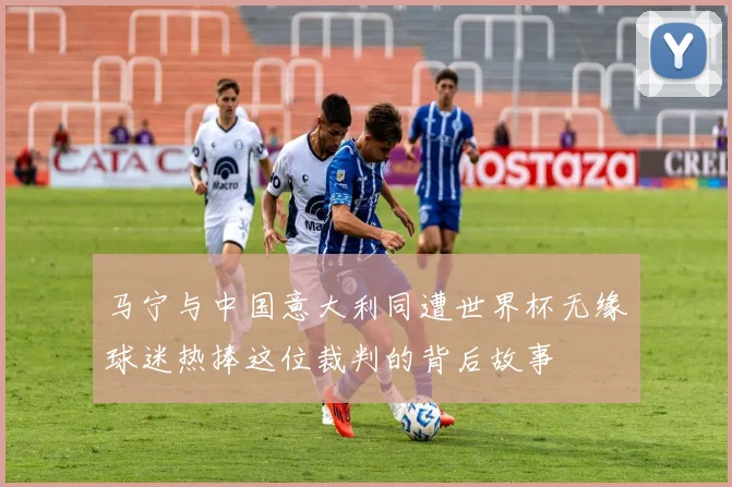 马宁与中国意大利同遭世界杯无缘球迷热捧这位裁判的背后故事